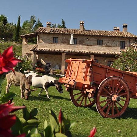 Farm Stay Il Carro Del Colle Collevalenza Ngoại thất bức ảnh