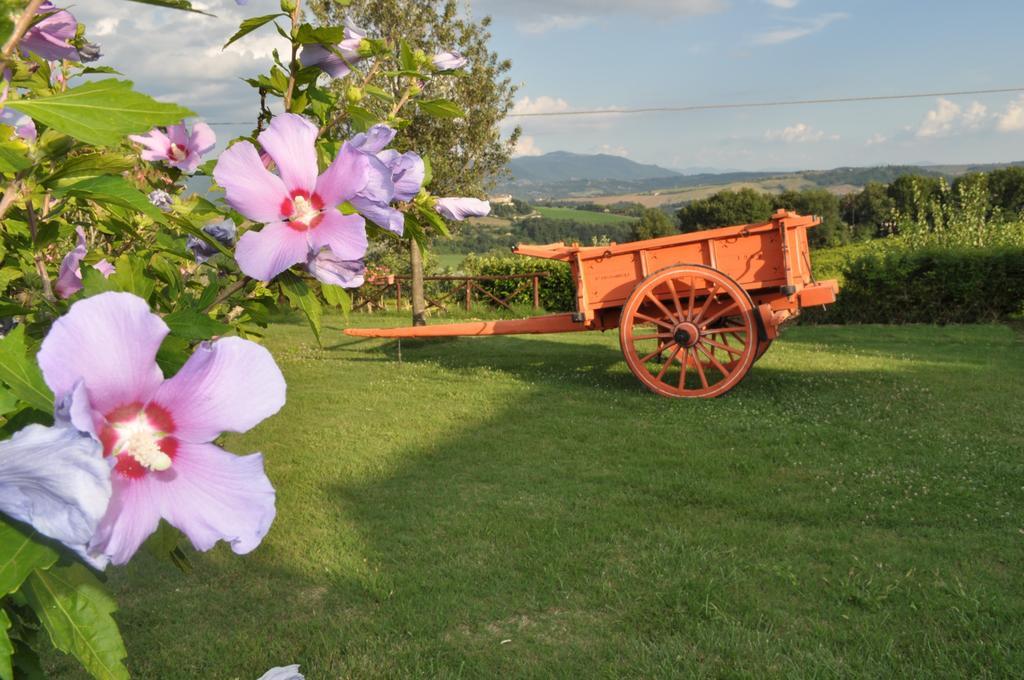 Farm Stay Il Carro Del Colle Collevalenza Ngoại thất bức ảnh