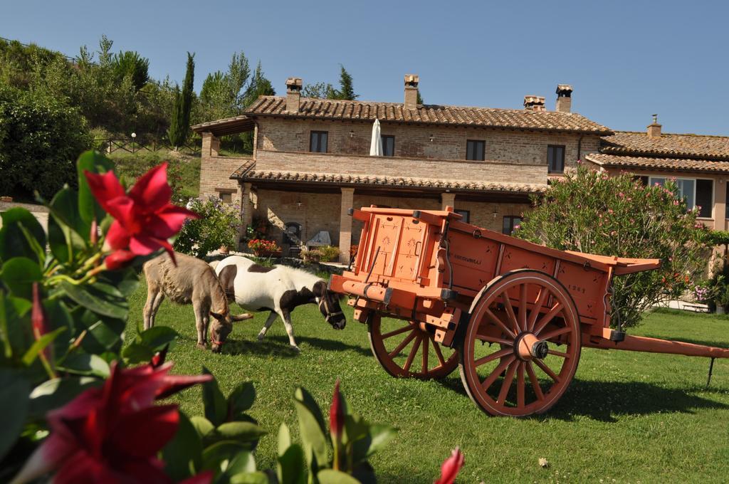 Farm Stay Il Carro Del Colle Collevalenza Ngoại thất bức ảnh