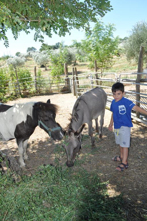 Farm Stay Il Carro Del Colle Collevalenza Ngoại thất bức ảnh