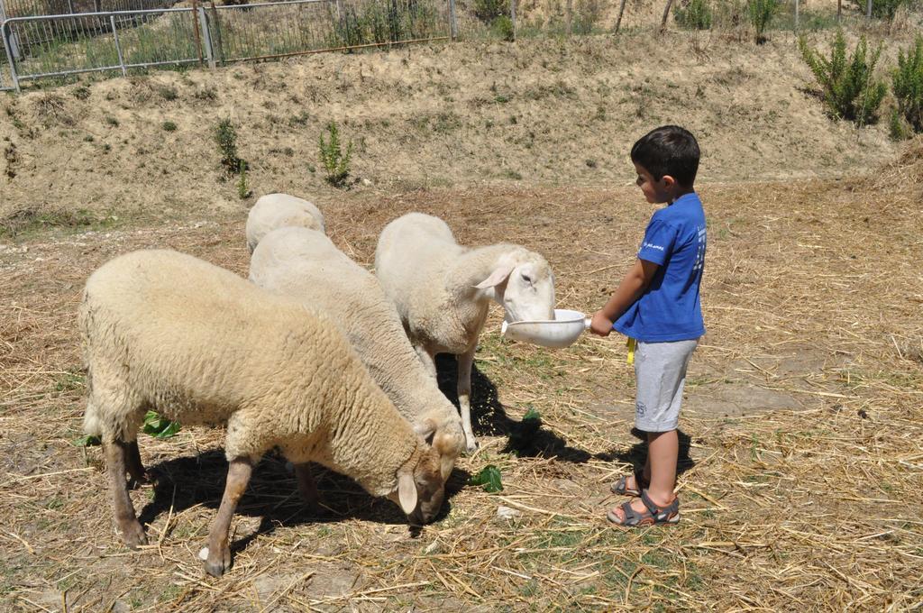 Farm Stay Il Carro Del Colle Collevalenza Ngoại thất bức ảnh