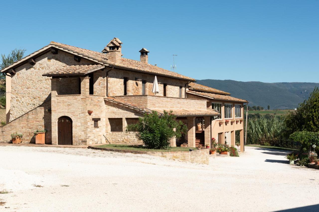 Farm Stay Il Carro Del Colle Collevalenza Ngoại thất bức ảnh