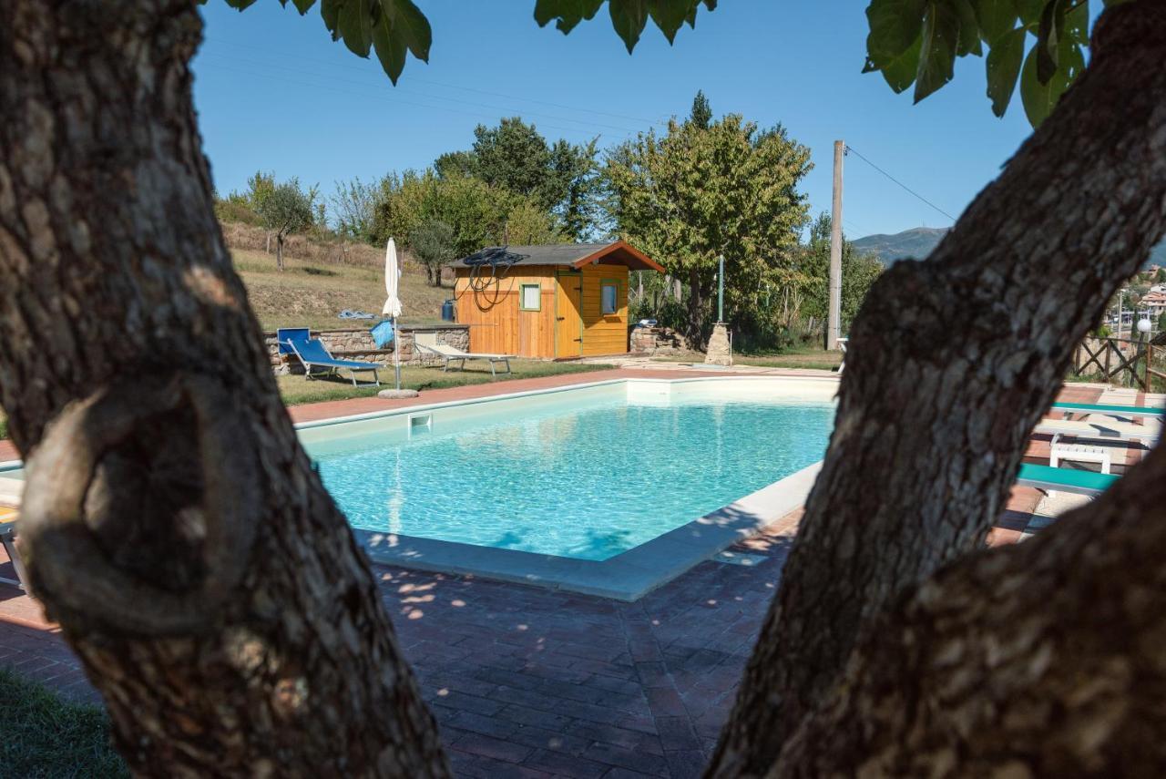 Farm Stay Il Carro Del Colle Collevalenza Ngoại thất bức ảnh