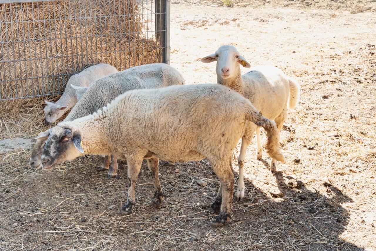 Farm Stay Il Carro Del Colle Collevalenza Ngoại thất bức ảnh